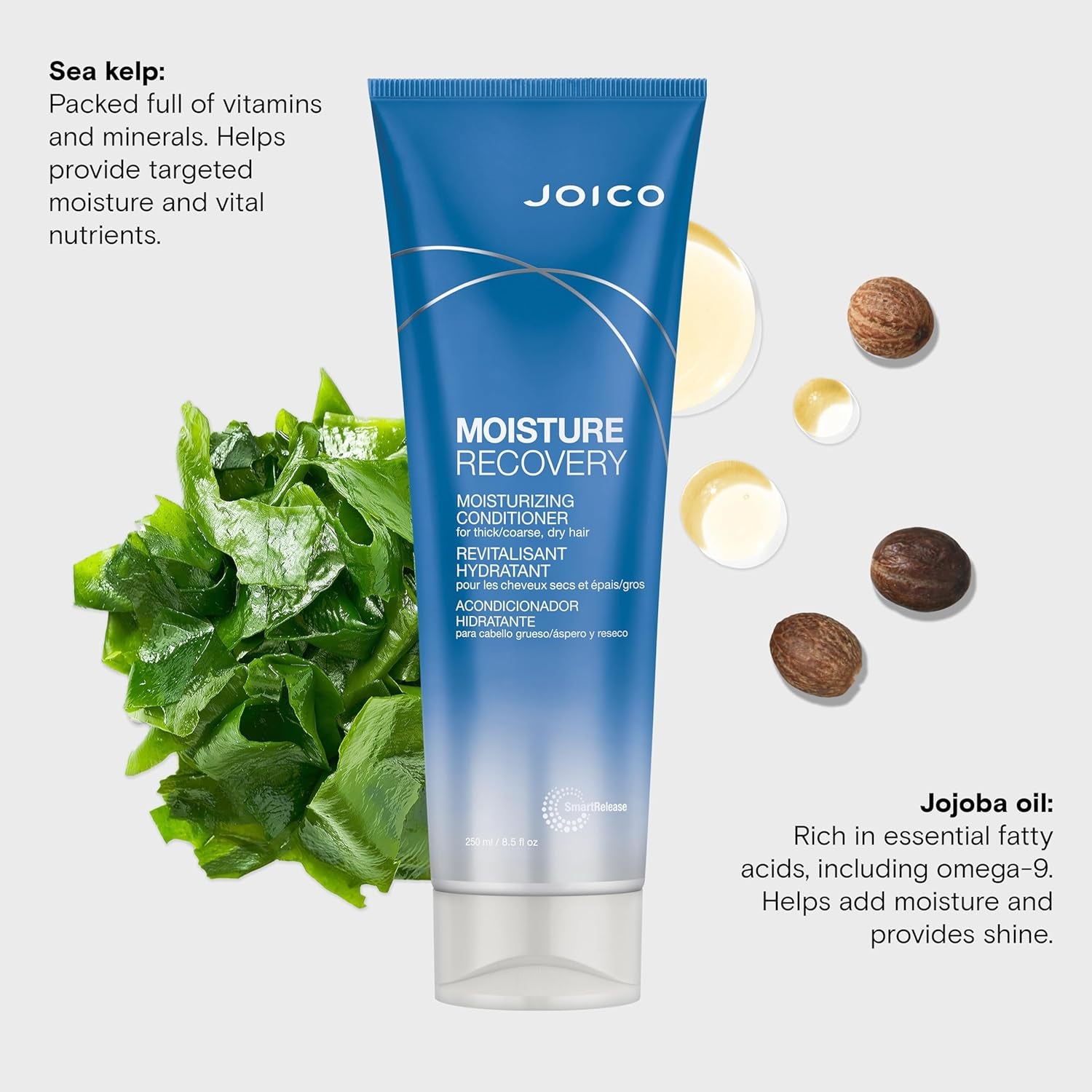 Moisture Recovery Moisturizing Conditioner | for Thick, Coarse, Dry Hair | Replenish Moisture | Restore Smoothness & Elasticity | Strengthen & Reduce Breakage | with Jojoba Oil & Shea Butter